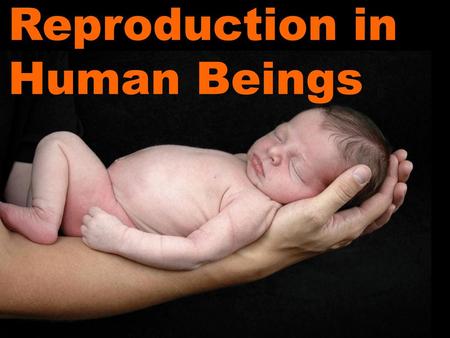 Reproduction in Human Beings