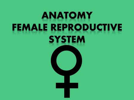 FEMale Reproductive System