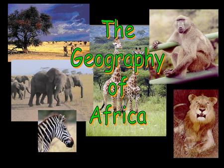 The Geography of Africa.