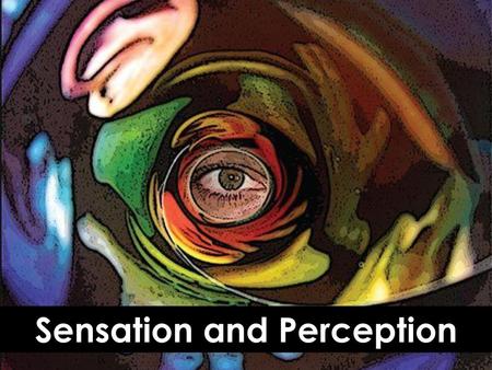 Sensation and Perception