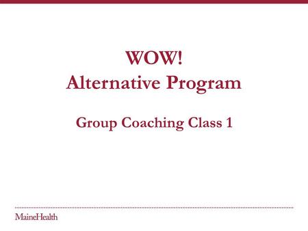 WOW! Alternative Program Group Coaching Class 1