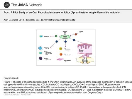 From: A Pilot Study of an Oral Phosphodiesterase Inhibitor (Apremilast) for Atopic Dermatitis in Adults Arch Dermatol. 2012;148(8):890-897. doi:10.1001/archdermatol.2012.812.