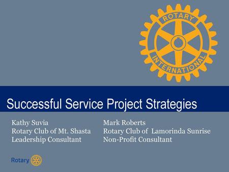 Successful Service Project Strategies