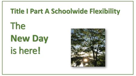 Title I Part A Schoolwide Flexibility