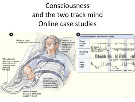 Consciousness and the two track mind Online case studies