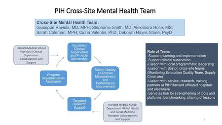 PIH Cross-Site Mental Health Team