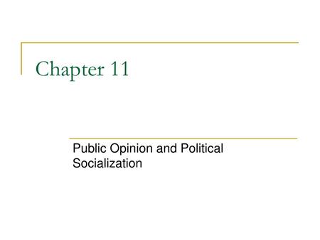 Public Opinion and Political Socialization