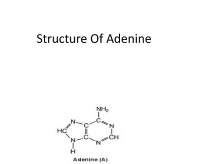 Structure Of Adenine.