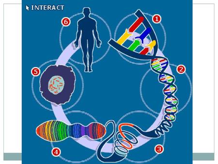 DNA – The molecule of Heredity