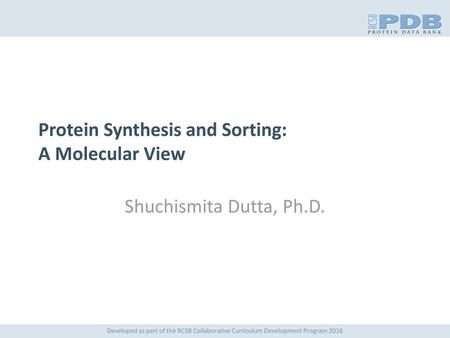 Protein Synthesis and Sorting: A Molecular View