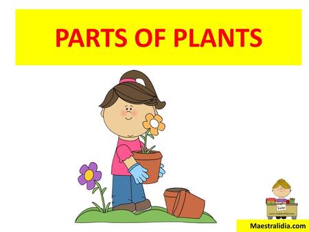 PARTS OF PLANTS Maestralidia.com.