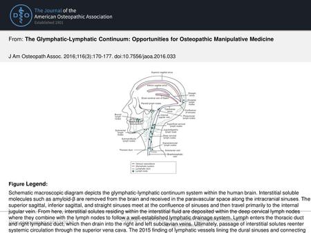 Copyright © 2015 by the American Osteopathic Association.