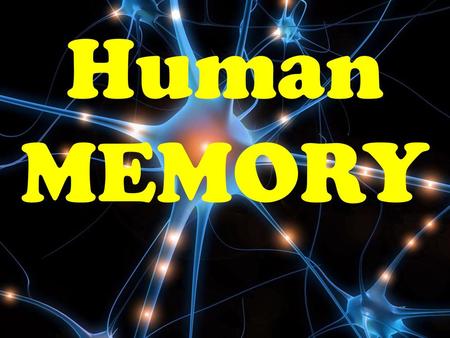 Human MEMORY.