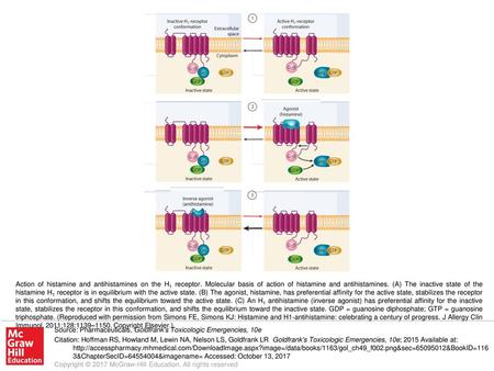 Action of histamine and antihistamines on the H1 receptor