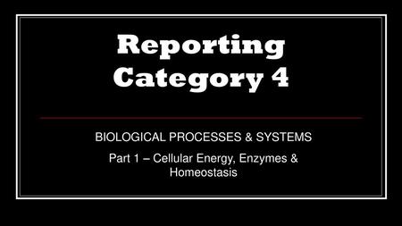 Reporting Category 4 BIOLOGICAL PROCESSES & SYSTEMS