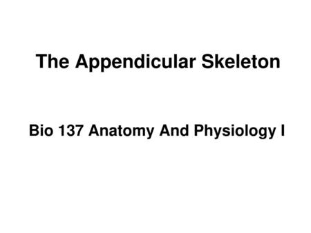 The Appendicular Skeleton