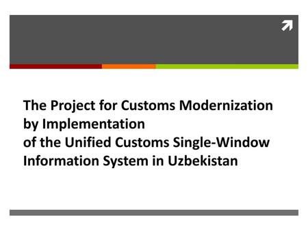 The Project for Customs Modernization by Implementation