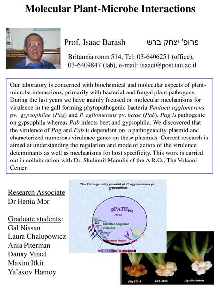 Molecular Plant-Microbe Interactions