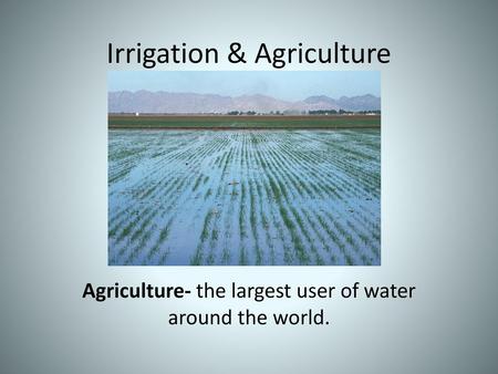 Irrigation & Agriculture