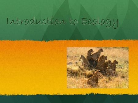 Introduction to Ecology