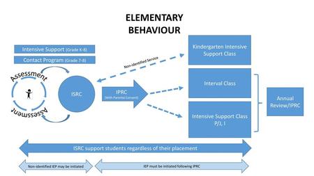 ELEMENTARY BEHAVIOUR Assessment Assessment