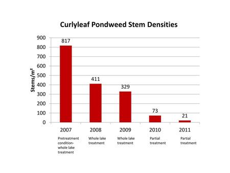 Curlyleaf Pondweed Stem Densities