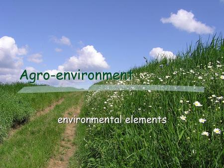 environmental elements