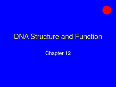 DNA Structure and Function