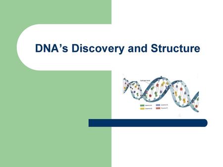 DNA’s Discovery and Structure