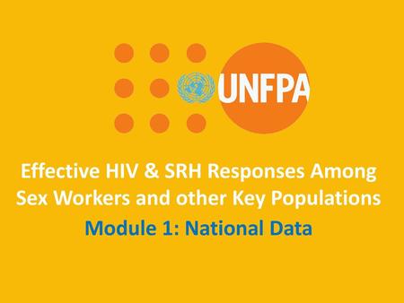 Effective HIV & SRH Responses Among Sex Workers and other Key Populations Module 1: National Data.