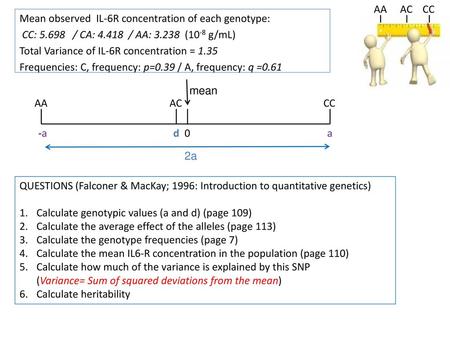 AA CC AC Mean observed  IL-6R concentration of each genotype: