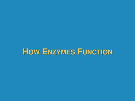 How Enzymes Function 1.