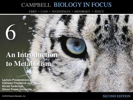 6 An Introduction to Metabolism.