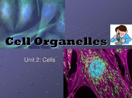 Cell Organelles Unit 2: Cells