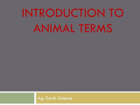 Introduction to Animal Terms