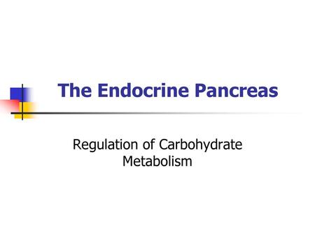 The Endocrine Pancreas