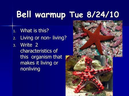 Bell warmup Tue 8/24/10 What is this? Living or non- living?