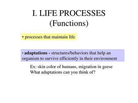 I. LIFE PROCESSES (Functions)