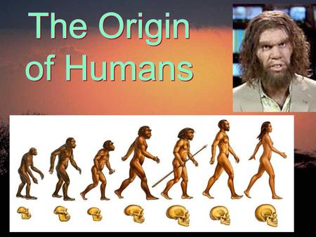 The Origin of Humans.