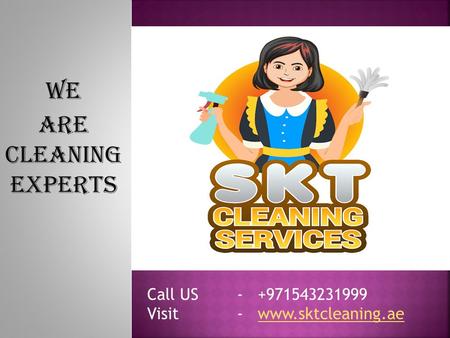 We Are Cleaning Experts Call US Visit-