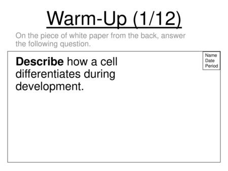 Warm-Up (1/12) Describe how a cell differentiates during development.