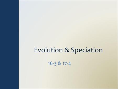 Evolution & Speciation