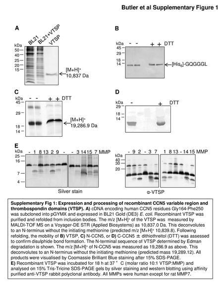 Butler et al Supplementary Figure 1 A B C D - E BL21