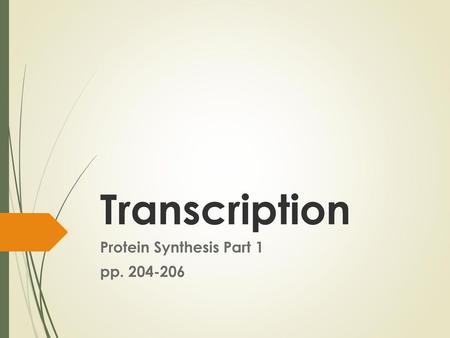 Protein Synthesis Part 1 pp