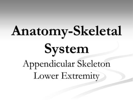 Anatomy-Skeletal System