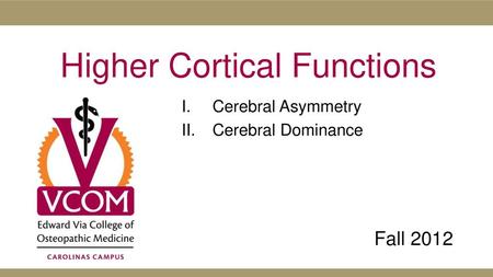 Higher Cortical Functions