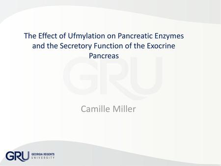 The Effect of Ufmylation on Pancreatic Enzymes and the Secretory Function of the Exocrine Pancreas Camille Miller.