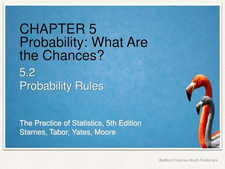 CHAPTER 5 Probability: What Are the Chances?