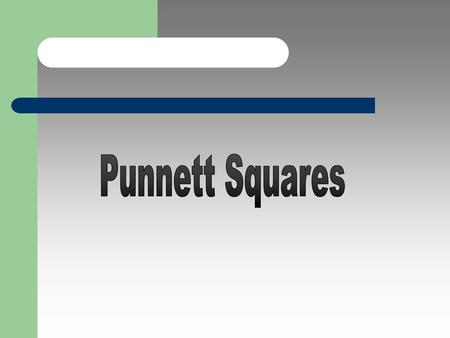 Punnett Squares.