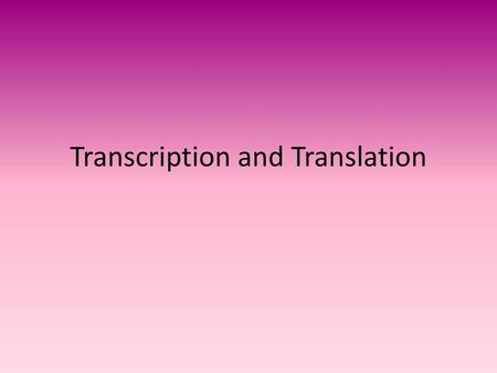 Transcription and Translation